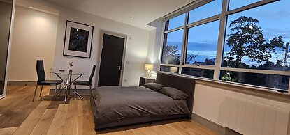 Beautiful 1-bed Studio in London Tottenham