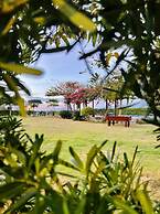 Amor Laut