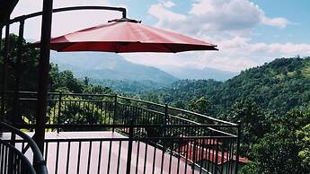 The Springfields Kandy