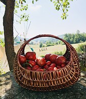 Lusi è in collina