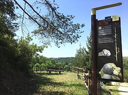 Lusi è in collina