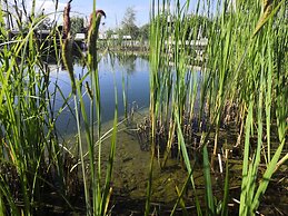 Hotel AVIVA make friends - Singles only