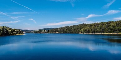 Hotel AVIVA make friends - Singles only