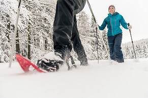 Hotel AVIVA make friends - Singles only