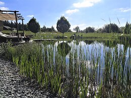 Hotel AVIVA make friends - Singles only