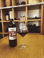 Hotel AVIVA make friends - Singles only