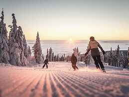 Hotel AVIVA make friends - Singles only