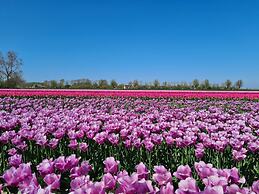 Recreatiepark De Wielen