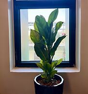 Le Vert Angkor Hotel