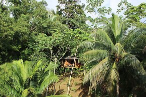 Natural Drake Bay Hotel Boutique