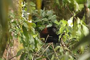 Natural Drake Bay Hotel Boutique