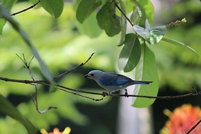 Natural Drake Bay Hotel Boutique