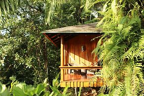 Natural Drake Bay Hotel Boutique