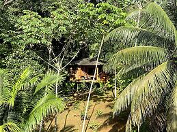 Natural Drake Bay Hotel Boutique