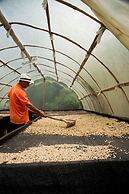 Luum Glamping by Roots Rentals