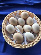 V V Hotel Battambang