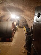 tenuta la violina