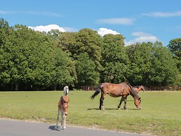 Brook Farm