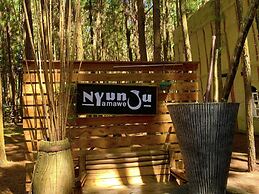 Nyungu Yamawe Forest Park