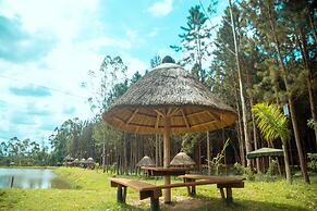 Nyungu Yamawe Forest Park