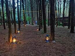 Nyungu Yamawe Forest Park