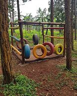 Nyungu Yamawe Forest Park