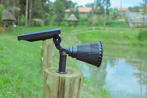 Nyungu Yamawe Forest Park