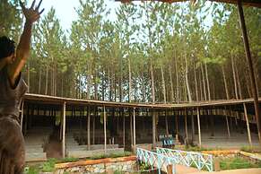 Nyungu Yamawe Forest Park