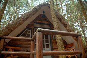 Nyungu Yamawe Forest Park