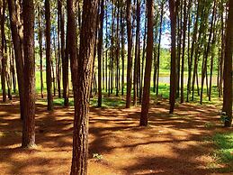 Nyungu Yamawe Forest Park
