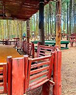 Nyungu Yamawe Forest Park