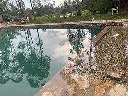 Nyungu Yamawe Forest Park