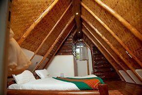 Nyungu Yamawe Forest Park