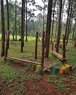 Nyungu Yamawe Forest Park