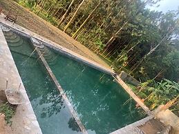 Nyungu Yamawe Forest Park