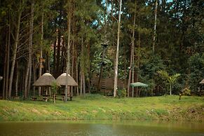 Nyungu Yamawe Forest Park