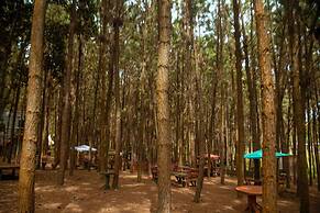 Nyungu Yamawe Forest Park