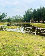 Nyungu Yamawe Forest Park