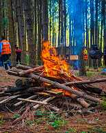 Nyungu Yamawe Forest Park