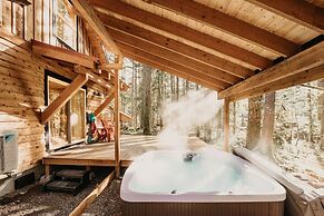 39gs - Hot Tub - Wi-fi - Pets Ok 3 Bedroom Cabin by RedAwning