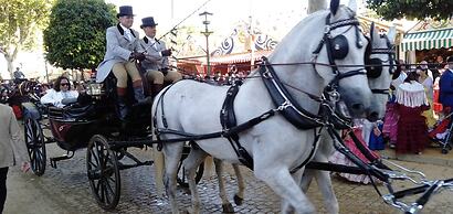 Villa Malyma Zahora - Beach Front Sea View