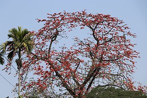 ROYALE de' CASA RESORT KAZIRANGA