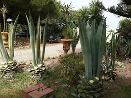 Villa Pinos Zahora - Beach Front Pine Trees