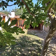 House Sleeps 6-garden-freeparking-bbq-patio-petsok