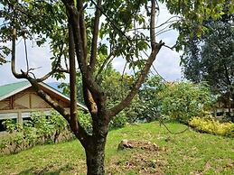 Bwindi Orugano Lodge