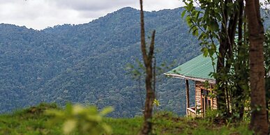 Bwindi Orugano Lodge