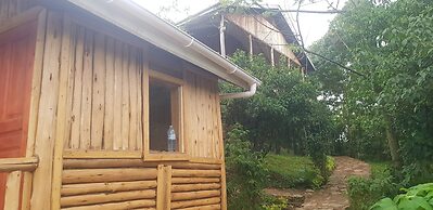 Bwindi Orugano Lodge