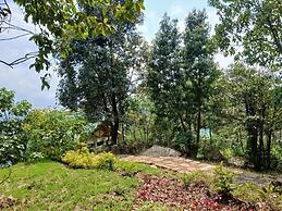 Bwindi Orugano Lodge