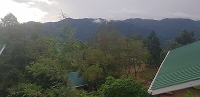 Bwindi Orugano Lodge