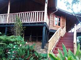 Bwindi Orugano Lodge